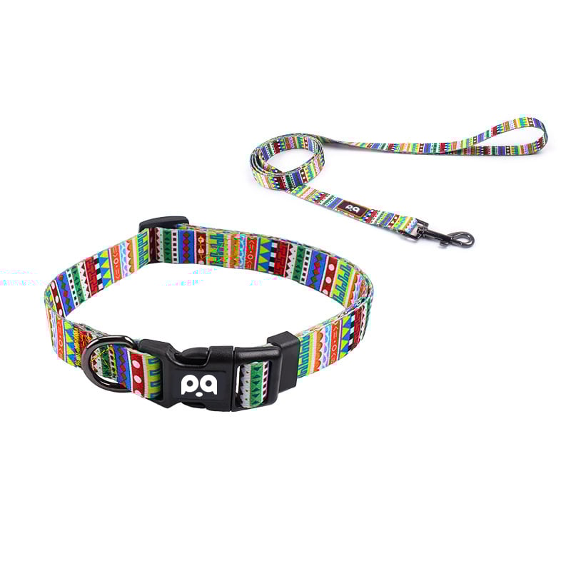 Poliesterinė šuns apykaklė ir harnas su reguliuojamu pavadėliu, patogu ir minkšta, visoms metų laikams