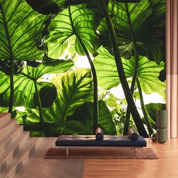 Fali tapéta - 3D trópusi esőerdő növények banánlevél motívummal; Márka Orange art mural; Anyag: Selyem; Hierarchikus összetétel: 3; Kategória: Falburkolat; Osztály: Premium
