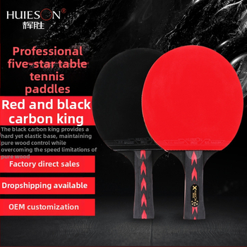 Set ping-pong rakiet s karbónovým vláknom, invertovanou gumou, penhold úchyt, model HS-CPPX5, prispôsobenie a tlač loga