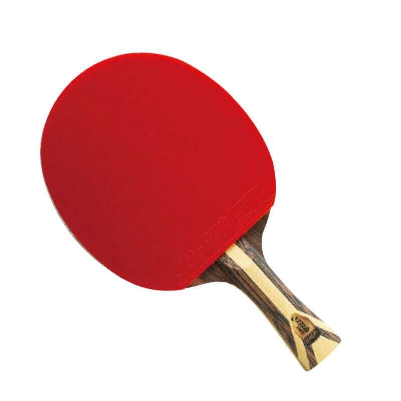 DHS galda tenisa nūja, oglekļa šķiedras pamatplate, lipīga guma, horizontāls sitiens, modelis H9002