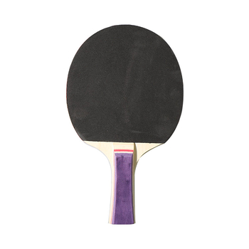 Set reketa za stolni tenis, shakehand stil, baza od topole, guma s ljepilom, Regail marka, podrijetlo Zhejiang