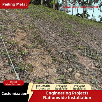 Peiling kuumtsinkitud terasvõrgu kaitse nõlvadele – aktiivne ja passiivne kaitse, maast stabiliseerimine, päritolu Hebei Anping, Hiina