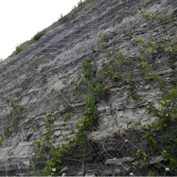 Plasă de protecție a versanților activă și pasivă, cu SNS cablu din oțel flexibil, pentru alunecări de teren montane și prăbușiri de stânci