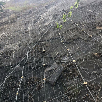 Plasă de protecție a versanților activă și pasivă, cu SNS cablu din oțel flexibil, pentru alunecări de teren montane și prăbușiri de stânci