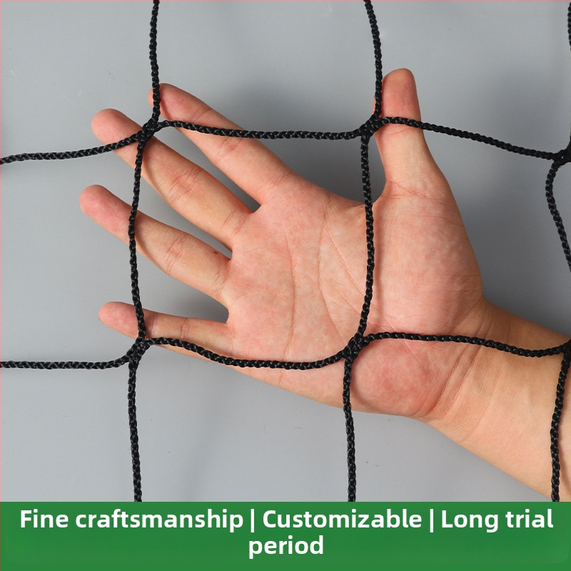 Standardvõrkpallivõrk treeningute ja võistluste jaoks, kiirelt kokkupandav, kaasaskantav, PE materjal, Golden Pigeon, kohandamine saadaval