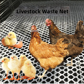 Põllumajanduslik lindude aretamise võrk alus – libisemiskindel, lekkevähendus, plastikvõrk aretuseks