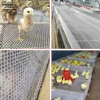 Põllumajanduslik lindude aretamise võrk alus – libisemiskindel, lekkevähendus, plastikvõrk aretuseks