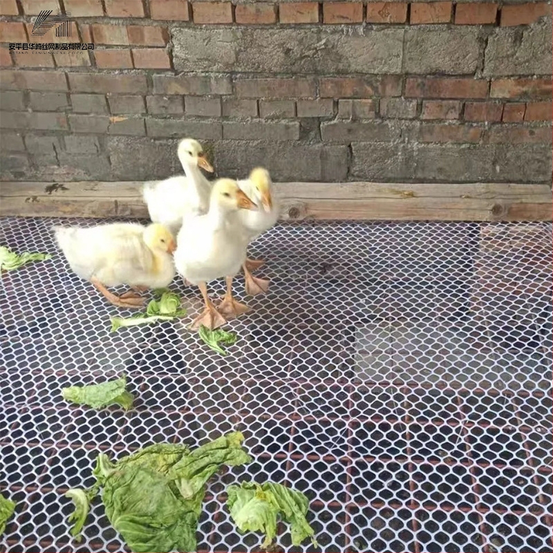 Põllumajanduslik lindude aretamise võrk alus – libisemiskindel, lekkevähendus, plastikvõrk aretuseks