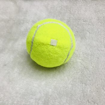 OULITE baza za trening tenis sa užetom — gumena konstrukcija; tiskano logo OK; pogodna za fitness opremu i stolni tenis; autorizirana privatna marka: da