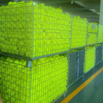 BST pickleball lopta | PE materijal, 48 rupa, težina 26 g