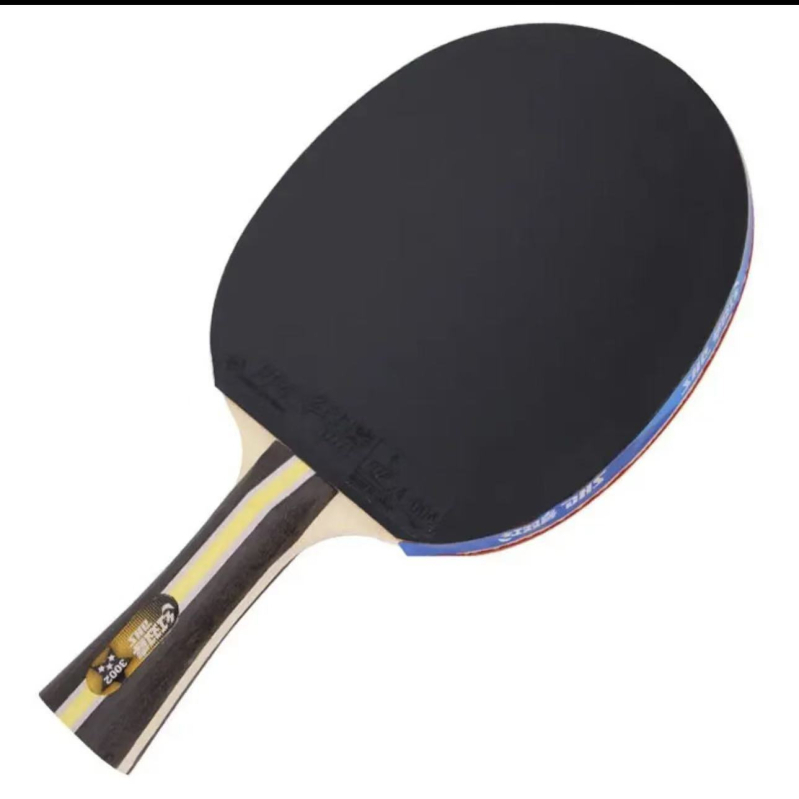 Stolni tenis DHS H3002/H3006 – dvostruka guma, pozitivno ljepilo, čista drvena ploča