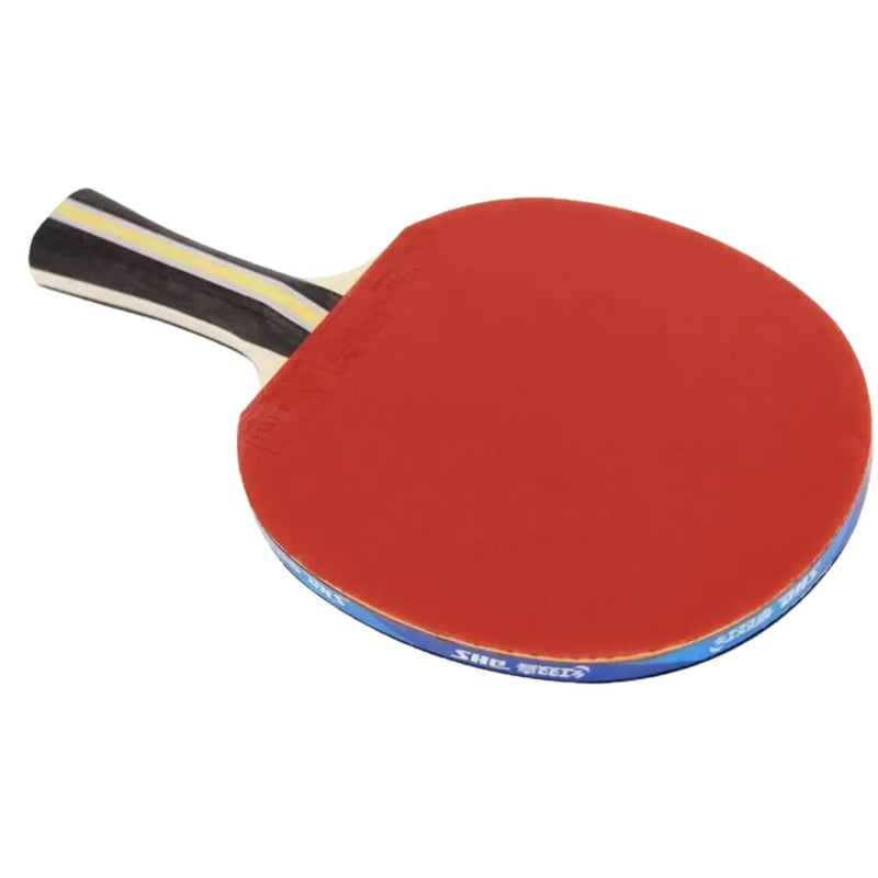 Stolni tenis DHS H3002/H3006 – dvostruka guma, pozitivno ljepilo, čista drvena ploča
