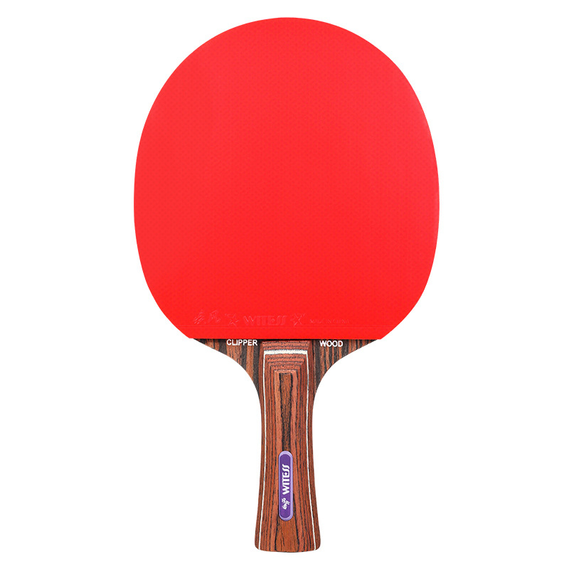 Witess reketa za stolni tenis s Ebony dnom, ljepljiva guma, izravni udar, nacionalni standard