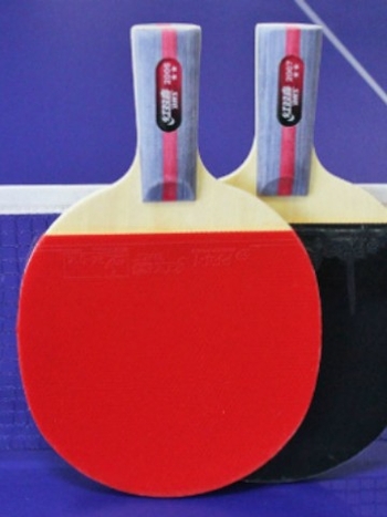 Stalo teniso raketė DHS H3002, 3 žvaigždutės, tiesi plokštė, gumos be klijų, paruošta naudoti