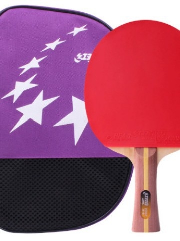 Stalo teniso raketė DHS H3002, 3 žvaigždutės, tiesi plokštė, gumos be klijų, paruošta naudoti