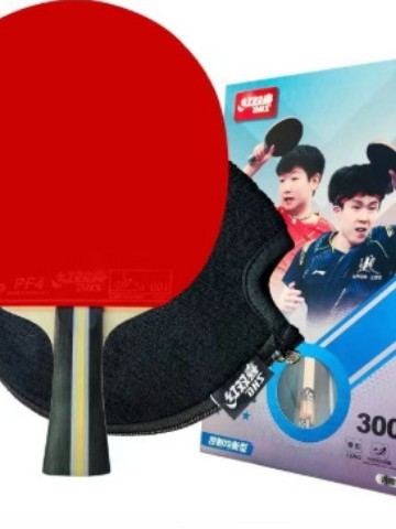 Stalo teniso raketė DHS H3002, 3 žvaigždutės, tiesi plokštė, gumos be klijų, paruošta naudoti