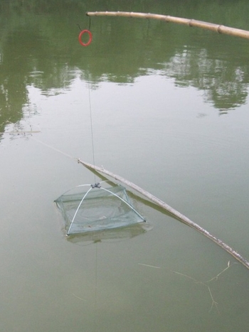 Krevetių dėžė su atviru dizainu, sulankstomas kėlimo tinklas, nailonas konstrukcija (nylonas • atviras dizainas • sulankstomas kėlimo tinklas)