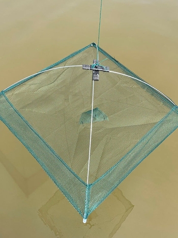 Krevetių dėžė su atviru dizainu, sulankstomas kėlimo tinklas, nailonas konstrukcija (nylonas • atviras dizainas • sulankstomas kėlimo tinklas)