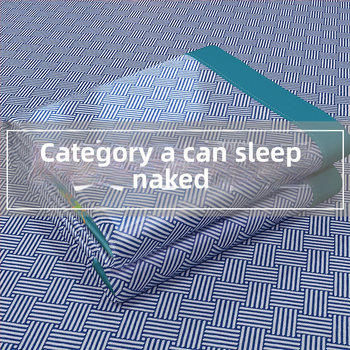 Ledus zīda paklājs ar izšūtu šuvumu, ķīmiska šķiedra, ķīniešu stils, ziemas un vasaras divkārša lietošana