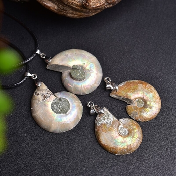 Természetes csigafoszília és ammonit szeletével készült medálos nyaklánc, kristályos ásvány, modern minimalista stílus
