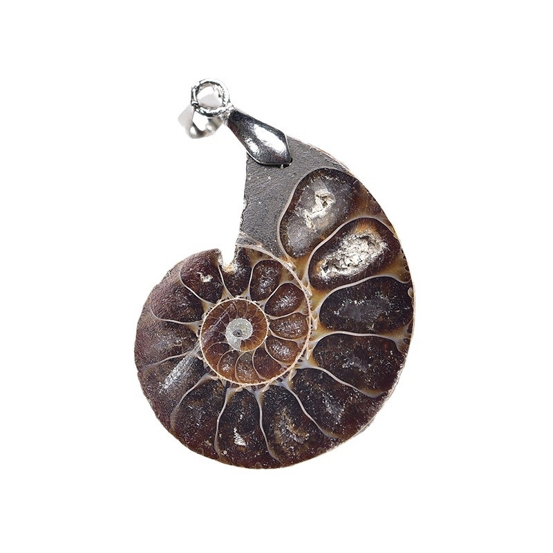 Természetes csigafoszília és ammonit szeletével készült medálos nyaklánc, kristályos ásvány, modern minimalista stílus