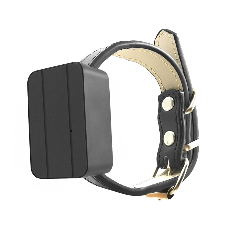 Locator pentru animale CJ230 – Tracker GPS pentru pisici și câini, precizie GPS 5 m; moduri de alarmă: vibrație, alertă mobilă, gardă, depășire viteză; suport hărți Baidu/Google/AMAP; model CJ230