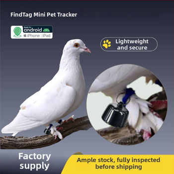 GPS-nyomkövető P-23 Android és iOS-hez: történet-alapú követés, GPS pozicionálás, nyakörv vagy karkötő viselés, egy kattintásos navigáció.