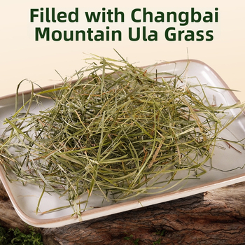 U- formos kelioninis kaklo pagalvėlis, tinkamas verslo kelionėms ir ilgiems reisams, kaklo palaikymas, nuimamas dangtelis (pildas: Ula grass; audinys: dvigubo siūlo jacquard; stilius: minimalistinis)