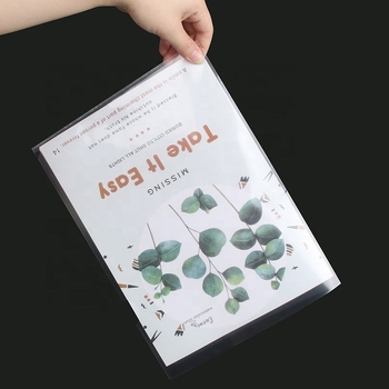 PP папка A4, едноклипова, прозрачна за документи — клип 0.1, дебелина на плочата 0.1, ширина на гърба 0.1