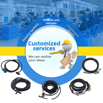 Automobilių sistemos valdymo laidų rinkinys elektriniams langams ir centrinio užrakto laidams — Xinshengda; sertifikatai UL, CUL, CCC, IATF 16949, ISO 9001, ISO 13485