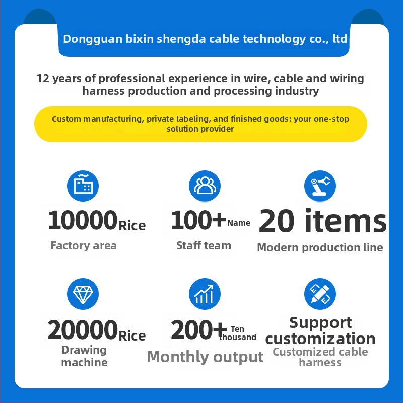 Automobilių sistemos valdymo laidų rinkinys elektriniams langams ir centrinio užrakto laidams — Xinshengda; sertifikatai UL, CUL, CCC, IATF 16949, ISO 9001, ISO 13485