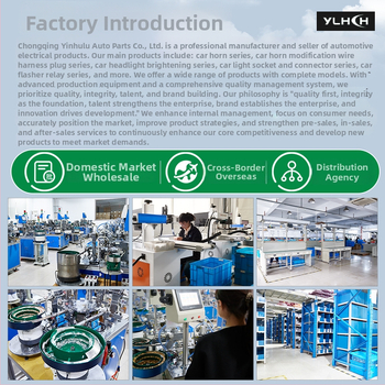 Elektronis mirgošanas relejs automašīnai – ylhch, Flash relay sērija