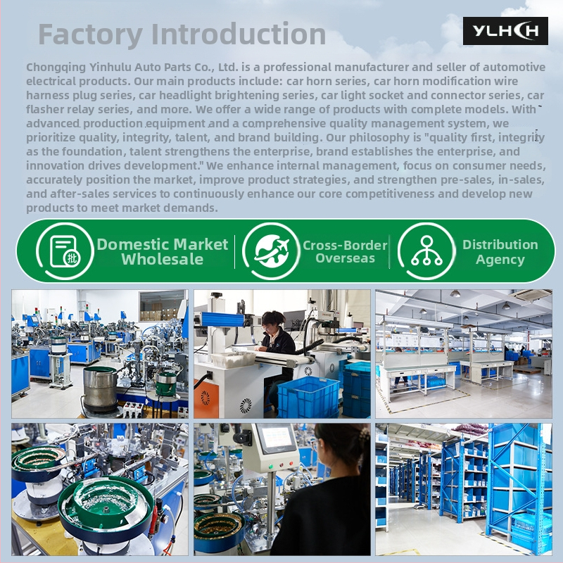 Elektronis mirgošanas relejs automašīnai – ylhch, Flash relay sērija