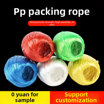 Užsegimo virvė (PP medžiaga, prekės ženklas Descendants, plotis 3–4 mm, storis 0,02 mm)