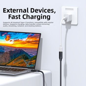 USB-C adapter kabel za podatke, niklirani premaz, duljine 0,75 m / 1,15 m / 2,3 m, kompatibilan s docking stanicama