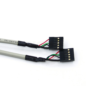 USB 2.0 stražnji panel s dvostrukim USB priključcima za kućište računala, duljina 0,3 m, bakreni vodič, injekcijsko oblikovanje