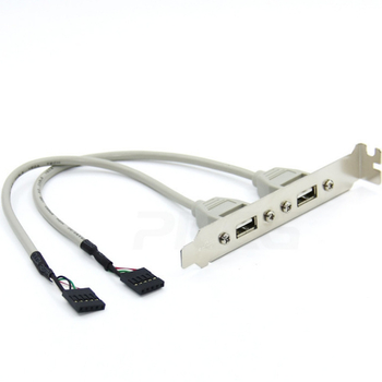USB 2.0 stražnji panel s dvostrukim USB priključcima za kućište računala, duljina 0,3 m, bakreni vodič, injekcijsko oblikovanje