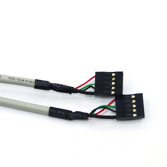 USB 2.0 stražnji panel s dvostrukim USB priključcima za kućište računala, duljina 0,3 m, bakreni vodič, injekcijsko oblikovanje