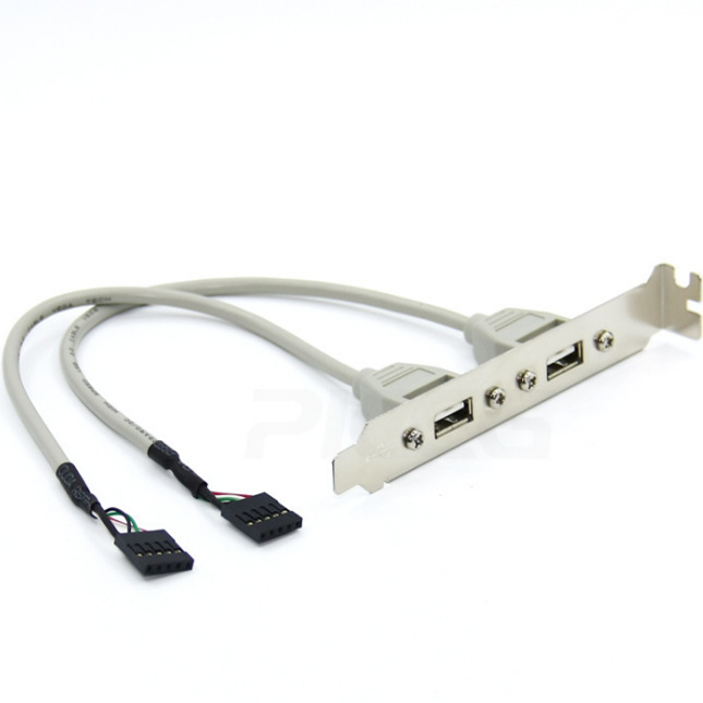 USB 2.0 stražnji panel s dvostrukim USB priključcima za kućište računala, duljina 0,3 m, bakreni vodič, injekcijsko oblikovanje