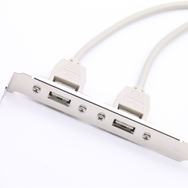 USB 2.0 stražnji panel s dvostrukim USB priključcima za kućište računala, duljina 0,3 m, bakreni vodič, injekcijsko oblikovanje