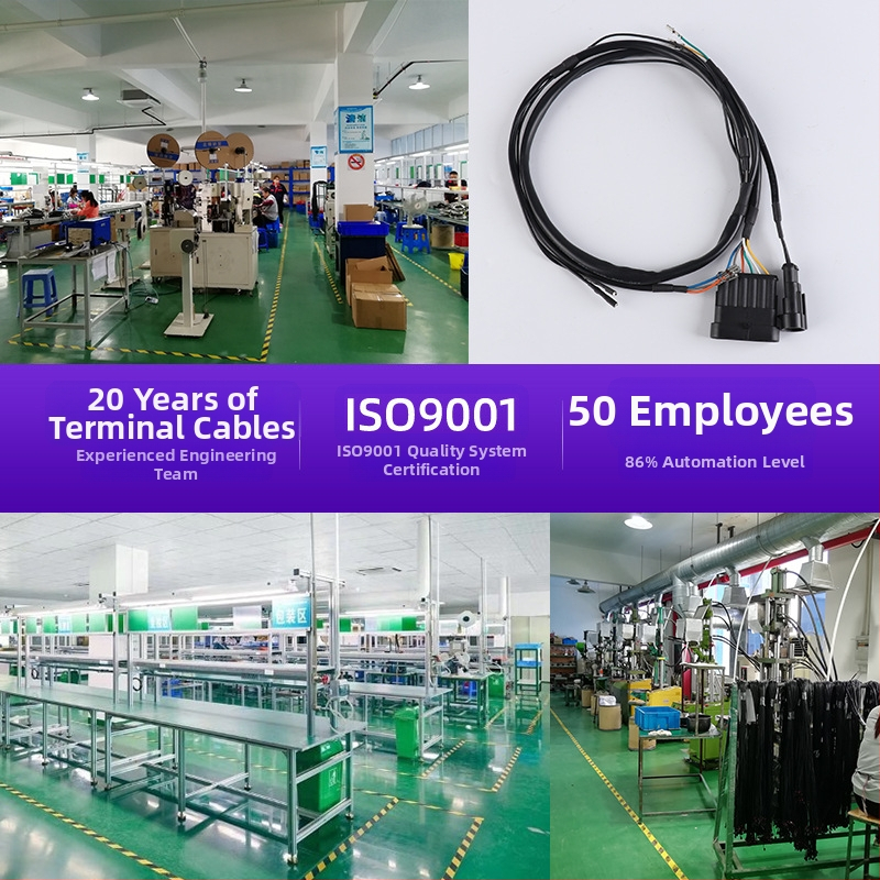 Autóipari kábelköteg kamera és LiDARhoz, testreszabott, 2–14 vezetővel, ónnal bevont réz, PVC burkolat, 220V