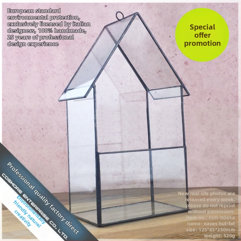 Стъклена саксия за сукуленти с мъхов мини ландшафт – прозрачен, здрав и устойчив на корозия; подходяща за стенен, настолен и подов монтаж