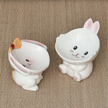 Μπολ γάτας με κεκλιμένο χείλος και αντι-ανατροπής σχεδίαση, γυάλινο μπολ τροφής κατοικίδιου