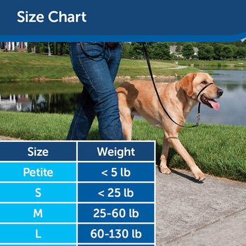 Colier de antrenament pentru plimbări cu botă anti-lătrare, pentru formarea obiceiurilor și restricție sigură