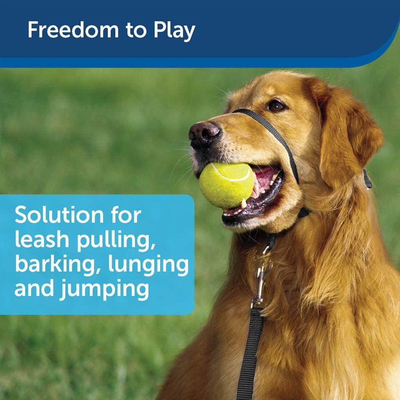 Colier de antrenament pentru plimbări cu botă anti-lătrare, pentru formarea obiceiurilor și restricție sigură