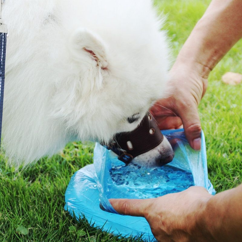 Botniță pentru câini – piele moale, anti-mâncare, anti-mușcare, anti-lătrat