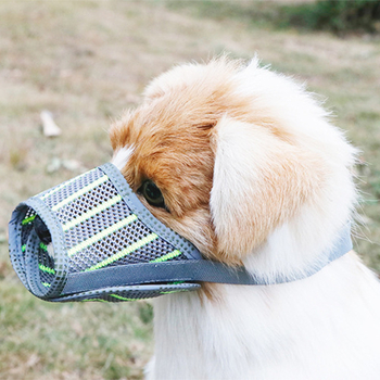 Muzzle pentru câini cu plasă dungată, pentru câini de talie medie și mare; previne înghițirea accidentală, mușcarea și lătratul; personalizabil