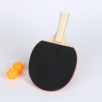 Tree Bloom Sada rakiet na stolný tenis - 2 ks, vodorovný úder, Materiál dosky základnej: Iné, Typ gumy: Iný