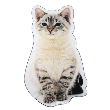 Pielāgots dzīvnieku dvielis - īpaša forma, kokvilna, 400GSM, digitālā druka, pielāgojams, bērniem draudzīgs