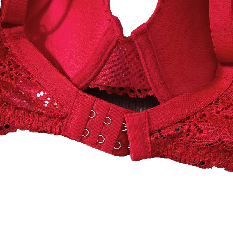 Mežģīņu atpakaļ bustier, bezšuvju, elpojošs neilons/poliamīds, 3/4 krūšu forma, kokvilnas oderējums